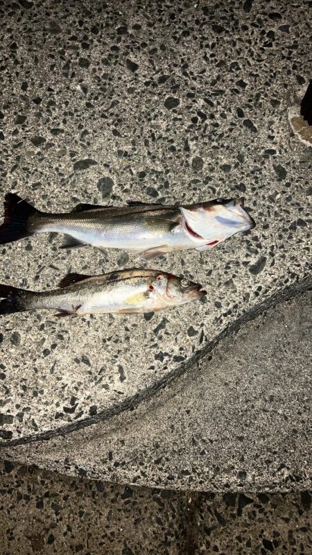 計画休暇初日や