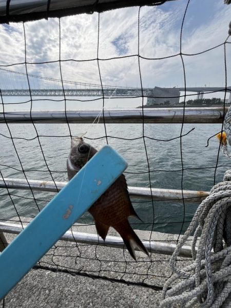 サビキ五目釣り