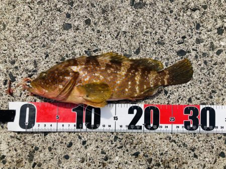 逃した魚は大きい