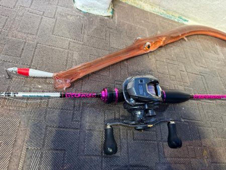 和歌山イカメタル