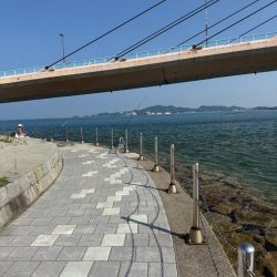 和歌山県毛見にキス釣り