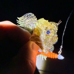 久しぶりのメバリング