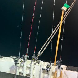 シーズン2回目イカメタル