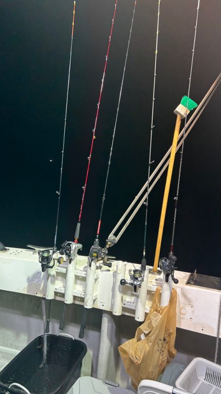 シーズン2回目イカメタル