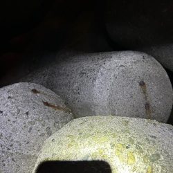 リベンジメバル