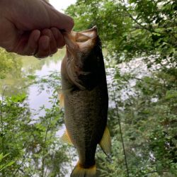 久しぶりの釣行