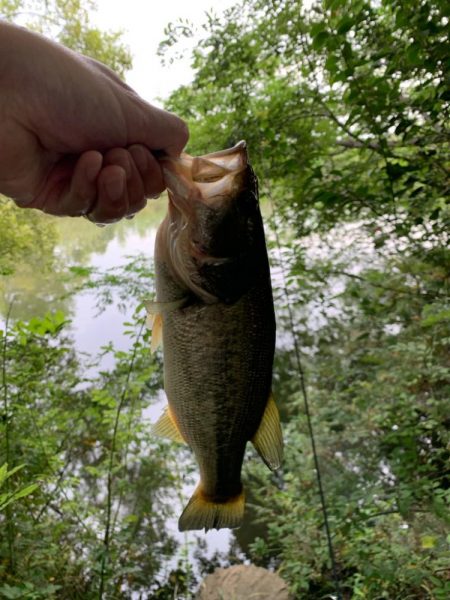 久しぶりの釣行