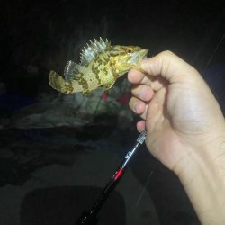 メバリング&エギング