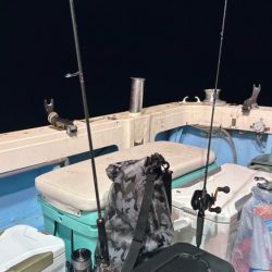 シーズン初イカ