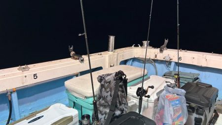 シーズン初イカ