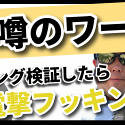 巷で話題のあのワームでチニング検証！