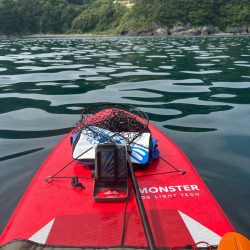 サップフィッシングす