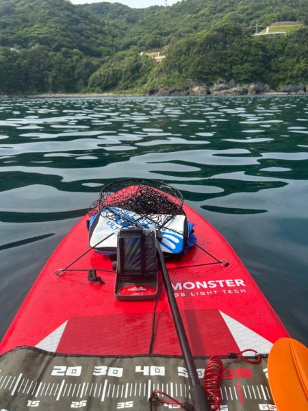 サップフィッシングす