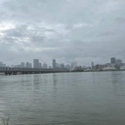 雨も上がったので…