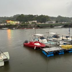 高梁川チニング