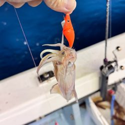 ケンサキイカ/イカメタル・オモリグ