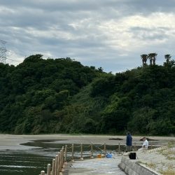 ちょい投げキス釣り