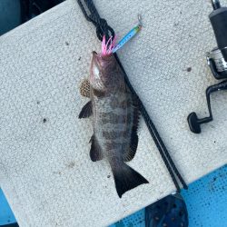 ロックフィッシュ