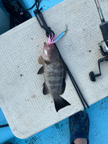 ロックフィッシュ