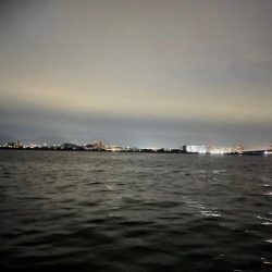 今日はアジつれた