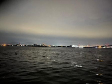 今日はアジつれた