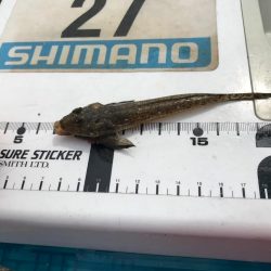 遅いというよりおかしい…