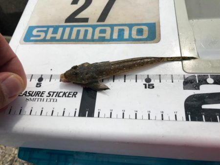 遅いというよりおかしい…