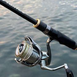 エギング　渋くても釣果あり