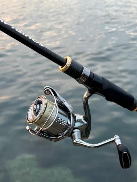 エギング　渋くても釣果あり