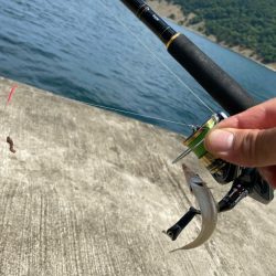 シロギスタのプチ遠征