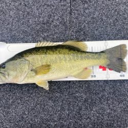 1日ボート釣行!