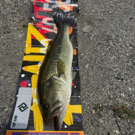 バックウォーター