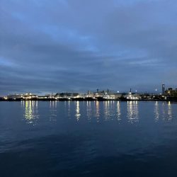 コノシロの群れで大遊び