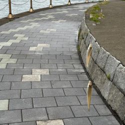 雨上がりのシロギス釣り