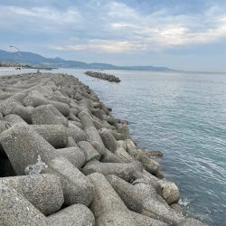 いいサイズのキスが釣れました