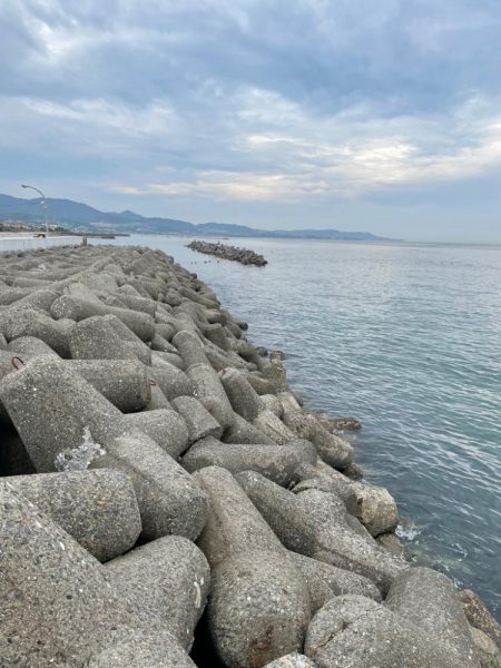 いいサイズのキスが釣れました