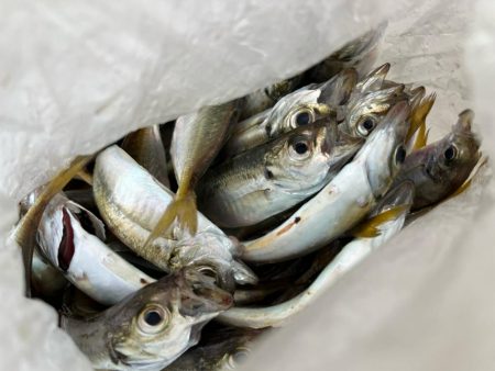 100均アミエビ ＋で