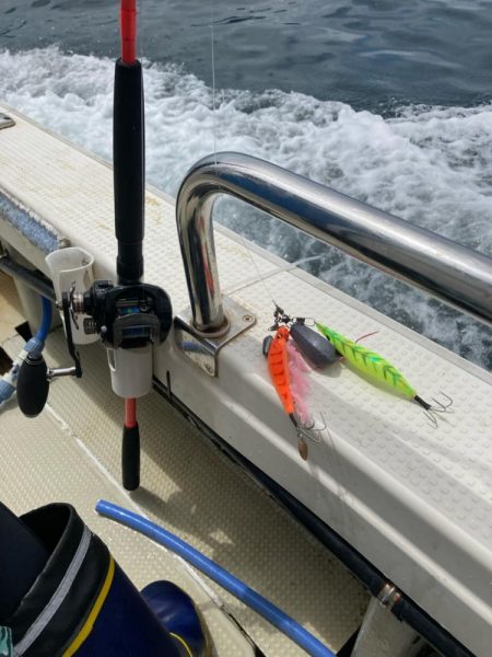 タコ釣りの新しいコツ