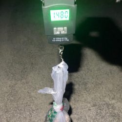 たこキロアップ