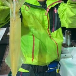 越前沖でイカメタル