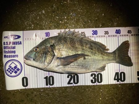 ナイトチニング