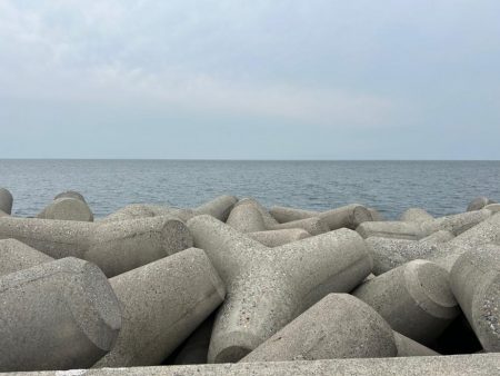 魚津港フカセ釣り