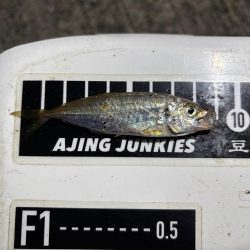 極豆／ミニマム勝負