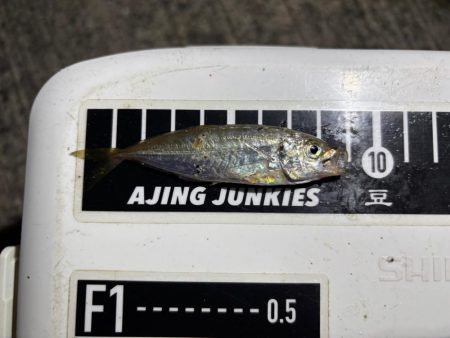 極豆／ミニマム勝負