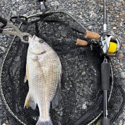 中々の入れ食いただし場所による
