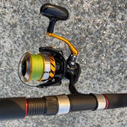 ショアタコ　10