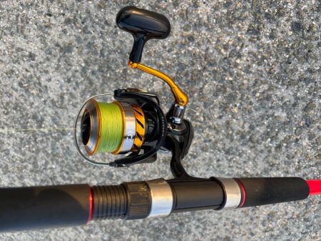 ショアタコ　10