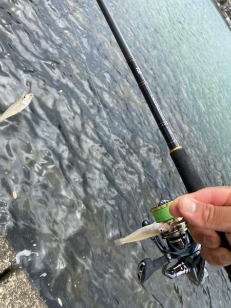 シロギスタ:ぶらり途中下浜の旅