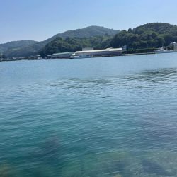 ちょい投げキス好調