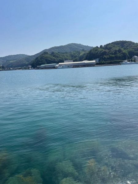 ちょい投げキス好調